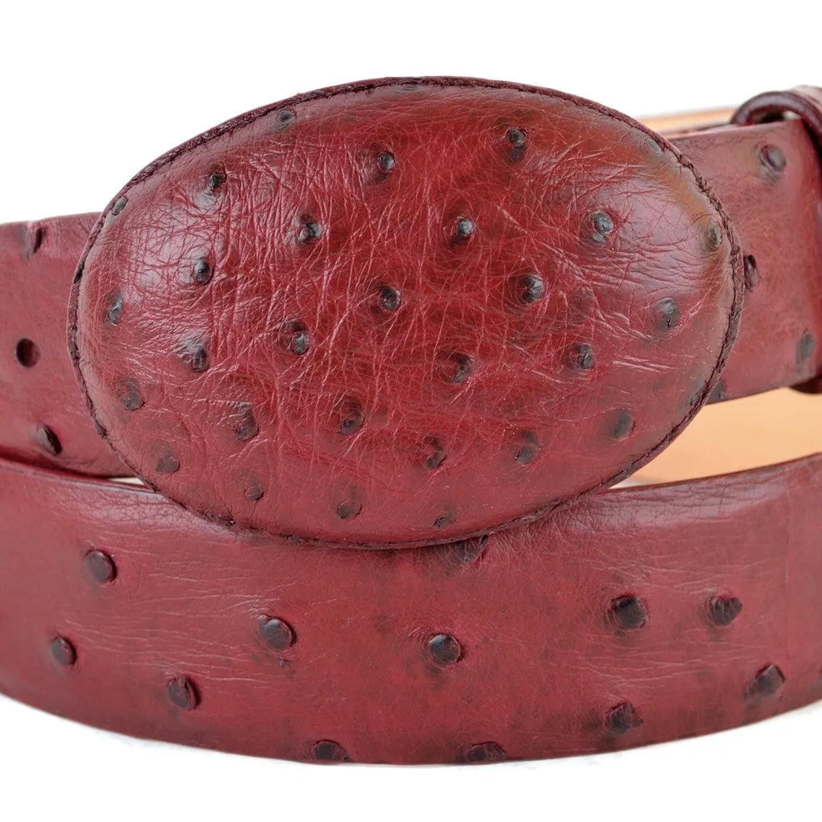 Men's Los altos Ostrich Cowboy Belt C11U0306